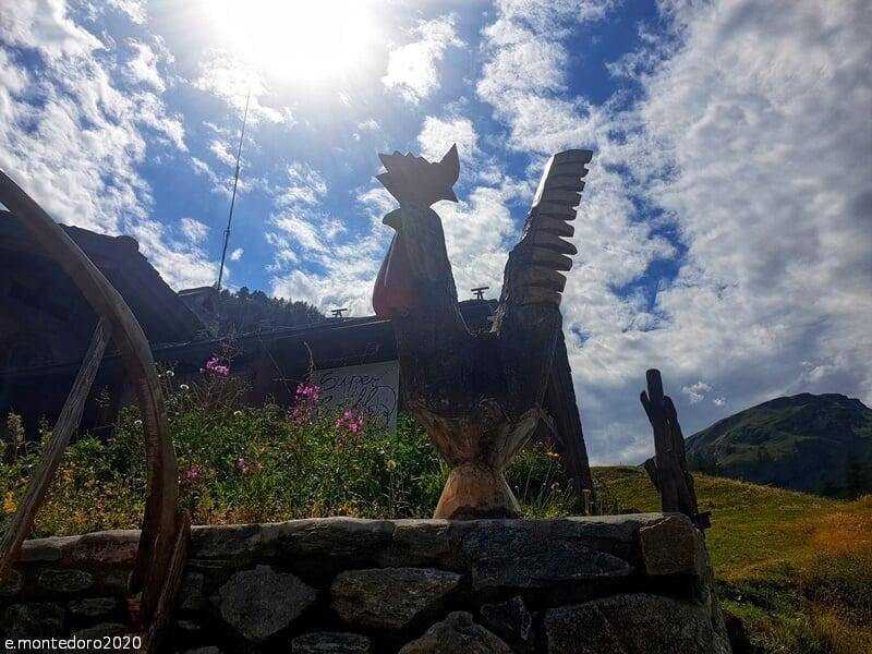 In viaggio con un gallo. Sulle vie dei pellegrini